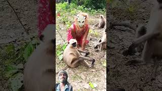 दीदी dra रही है monkey को mankey funny love funnyanimal [upl. by Leruj]