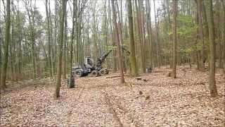 Holz machen 2013 mit Logset 8h [upl. by Aristotle]