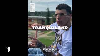 FREE Luar La L x Ankhal x Almighty Type Beat 2021  quotTRANQUILANDquot Trap Instrumental prodYeiny [upl. by Anatsirhc24]