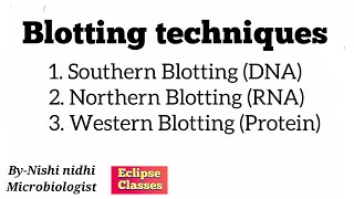 blotting techniques  byNishi Nidhi  general Microbiology  eclipse classes [upl. by Silver64]