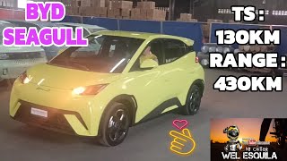 BYD SEAGULL E CAR 2024  IN DEPTH WALKAROUND  MORETTI PH [upl. by Ji]