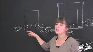 Chromatographie sur couche mince  PhysiqueChimie  Les Bons Profs [upl. by Jelena]