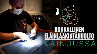 Eläinlääkintähuolto Kainuussa [upl. by Euginimod]