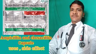 Ampoxin capsule ke fayde  benefits of Ampoxin capsule  Ampoxin capsule full review in hindi [upl. by Nhoj]