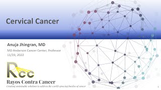 Contouring Pelvis  Session 3 Cervix external beam amp brachytherapy [upl. by Nellir]