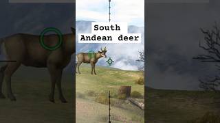 Shooting game  catching South Andean deer gametime88888 herasChannel [upl. by Liw]