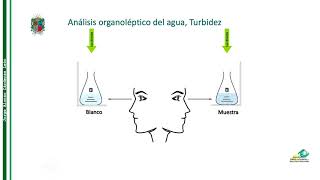 ANALISIS ORGANOLEPTICO LAB VIRTUAL [upl. by Willem]