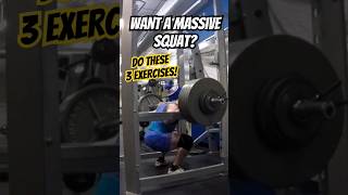 Build a MASSIVE Squat With These 3 Exercises S Tier Accessories 💯 [upl. by Coco]