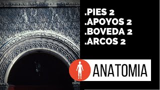 2 La bóveda los arcos y los puntos de apoyo de los pies [upl. by Ailhat637]