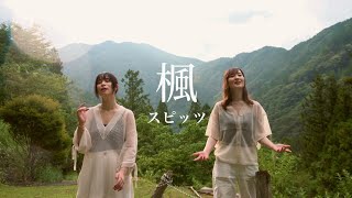 【楓  スピッツ】Covered by 竹渕慶×神田莉緒香 [upl. by Compte]