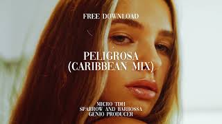 FREE DL Peligrosa Caribbean Mix  Micro TDH Sparrow amp Barbossa Genio Producer [upl. by Notlit]