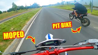 50ccm MOPED vs 125ccm PIT BIKE  Wer ist schneller Tuning Update [upl. by Ennaid]