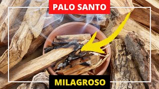 🔥 EL PALO SANTO Cómo se usa y Para qué Sirve SUERTE DINERO [upl. by Beesley992]