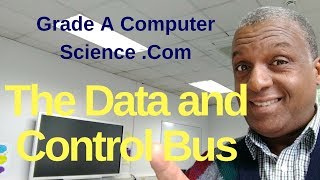 What does the Data Bus do  What does the Control Bus do [upl. by Nyvets]