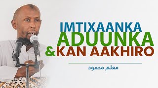 FARQIGA UDHAXEEYA IMTIXAANKA ADUUNKA IYO MIDKA AAKHIRO  MACALIN MAXAMUUD [upl. by Annaor]