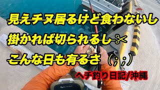 見えチヌは食わないし、掛かれば切られるし、こんな日も有るさ。沖縄ヘチ釣り日記 [upl. by Anez233]