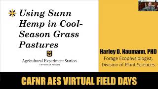 Using Sunn Hemp in CoolSeason Grass Pastures  Harley Naumann [upl. by Gensmer]