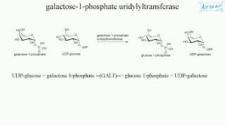 galactose 1 phosphate uridylyltransferase English  Medical terminology for medical students [upl. by Beitz]