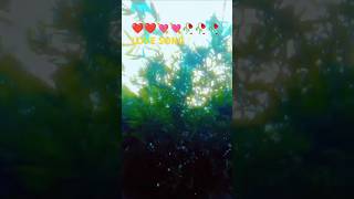 Love 💘 song trending shortvideo viralvideo hindisong bollywood shorts shortsvideo [upl. by Aisauqal]