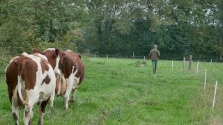 1 JOUR A LA FERME avec un éleveur laitier [upl. by Osnofla]