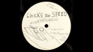 Chicks On Speed  Wordy Rappinghood Radio Edit [upl. by Gnuh]