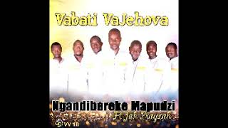 Vabati VaJehova Zvishuwo Zvemoyo Official Audio 2018 [upl. by Surdna]