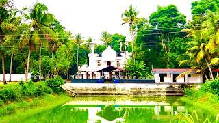 Sahib masjid ആല പനങ്ങാട് Pallinada [upl. by Janos842]