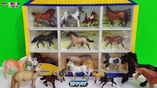 Coleccion de Caballos 🐎 de Breyer  Videos para niños  Mimonona Stories [upl. by Tice336]