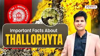 Important facts about Thallophyta neerajsir sciencemagnet [upl. by Anyzratak]