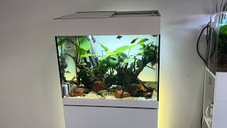 My community Aquarium  Oase styline 85  Equipment and stocking [upl. by Merry]