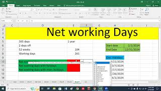 How to Calculate Working Days in Excel  Net Working days MS Excel [upl. by Teferi432]