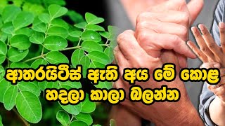 ආතරයිටීස් ඇති අය මේ කොළ හදලා කාලා බලන්න meditation arthritistreatment ayurveda [upl. by Ennoved]