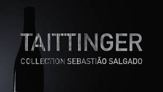 Champagne Taittinger – Discover the collection by Sebastião Salgado an animal alliance [upl. by Balsam]