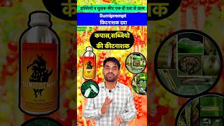 👌 सब्जियों व कपास की शानदार दवा  Illi Sundi Whitefly control insecticide insecticide shorts [upl. by Sackey849]