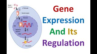 Gene Expression and Its Regulation [upl. by Ellezaj930]