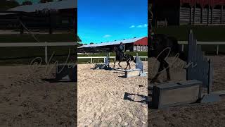 Wrigley and I practicing Poles horse warmblood foryou horseriding [upl. by Swinton]