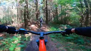 Bedgebury Forest ride with medway mountain bikes [upl. by Jelena]