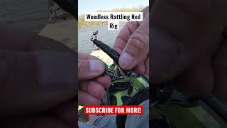 Ned Rig 101 Weedless Ned Reg Googan Squad kayakfishing angler fishing fishingdaily [upl. by Armstrong]