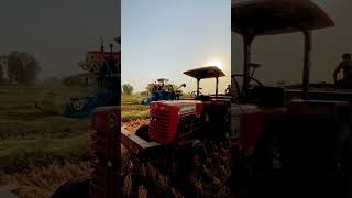 ytshorts automobile kinnow rice farm farming agriculture desivlogs indianyoutubers [upl. by Lisle658]