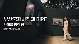 2024 부산국제사진제 BIPF에서 새로운 영감을 얻어보세요 [upl. by Nylirem]