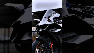 Zx10r modified🏷️👀 wbraider88 superbike ytbshorts zx10r kawasaki [upl. by Witcher259]