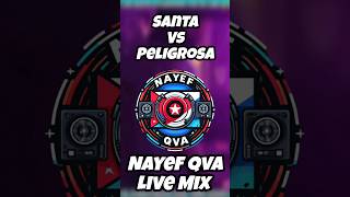 Santa vs Peligrosa  Rauw AlejandroWisinAnittaShaggyNayef Qva Live Mix [upl. by Eelhsa]