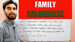 FAMILY SOLANACEAE  DESCRIPTION OF FLOWER Zeeraks Biology [upl. by Maxima]