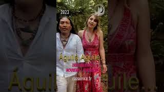 nouveau vidéo clip Águila Aguile andeanmusic pop aguila newagemusic [upl. by Zanze]