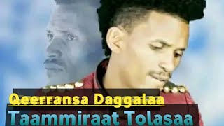 Taammiraat Tolasaa New Ethiopian Oromo music 2024❤️❤️❤️💯🤙 [upl. by Reehsab]