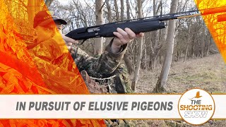 The Shooting Show  A pigeon shooting double bill PLUS a frantic ratting session [upl. by Leach]