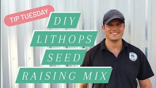 Tip Tuesday DIY Lithops Seed Raising Mix [upl. by Hajed]