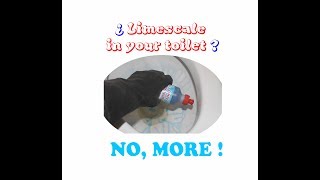 How to remove Limescale from toilet [upl. by Oletta]