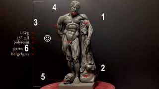 Highly Detailed Anatomy Reference Model  Indiegogo campaign [upl. by Anayet]