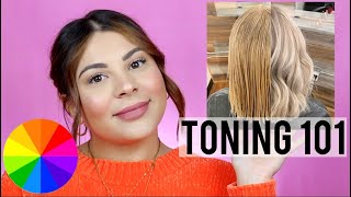 HOW TO TONE HAIR THE RIGHT WAY  PRO HAIRDRESSER TIPS [upl. by Niliram368]